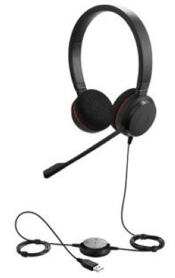  Jabra Evolve 20 MS Duo