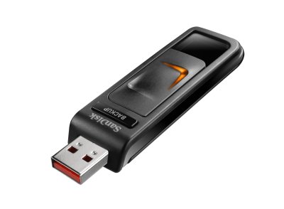 8Gb SanDisk Ultra Backup (SDCZ40-008G), USB2.0,   , RTL