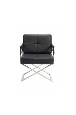 DG Home  Aster X Chair (: )