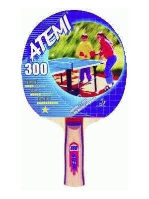     "ATEMI 300" CV. 1 Star