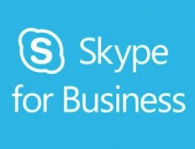 Microsoft Skype for Business 2015 Sngl OLP C