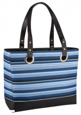  Thermos Raya 24 Can Tote Blue Stripe 421036