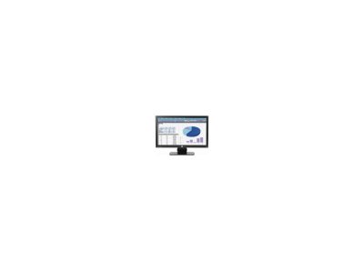 20"   hp ProDisplay P202 (K7X27AA) (LCD, Wide, 1600x900, D-Sub, DP)