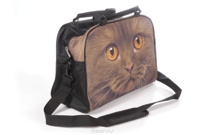  Hatber HD "Trend Line", : , . NS_00043 The Cat