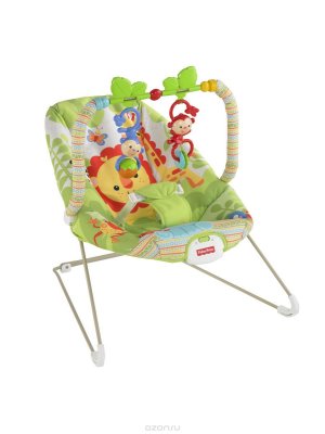 Fisher-Price Baby Gear -    