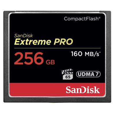   SanDisk CF 256  Extreme PRO