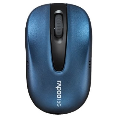  Rapoo Wireless Optical Mouse 1070P USB ()