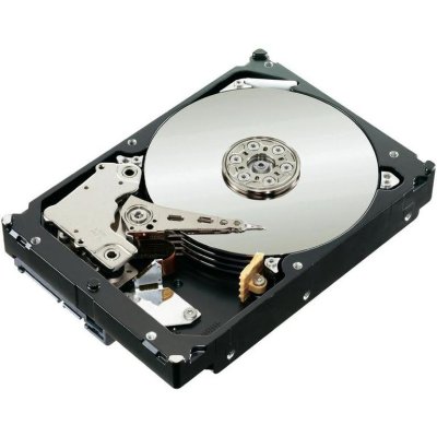   2Tb Seagate ST2000NM0011 SATA-III Constellation ES (7200rpm, 64Mb)