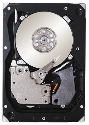 HDD   Seagate ST3300656SS