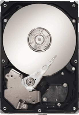 HDD   Seagate ST31000526SV