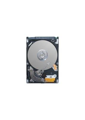 HDD   Seagate ST980813AS