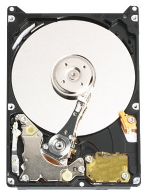 HDD   Western Digital WD800BEVE