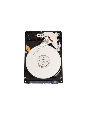 HDD   Western Digital WD800BEVS 80Gb