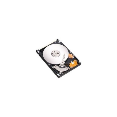 Seagate   Momentus 4200.2 ST9100825A 100Gb (U100/4200/8Mb) IDE 2,5"(ST9100825A)