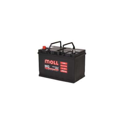  Moll MG Asia 110L 110Ah 835A 