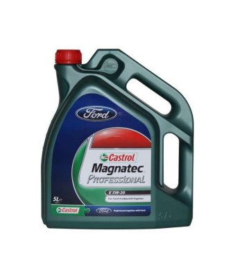 Castrol    Magnatec Professional E 5W20 (5 )