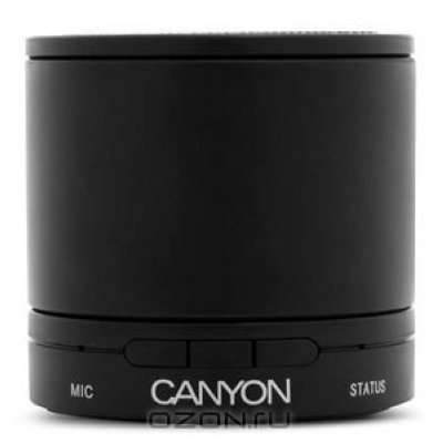  Canyon Bluetooth Wireless Speaker, Black