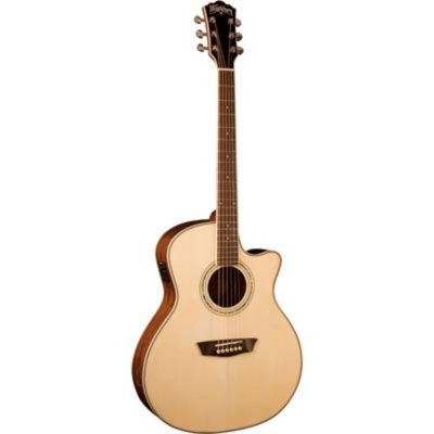   Washburn WCG18CE