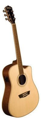   Washburn WCD18CE