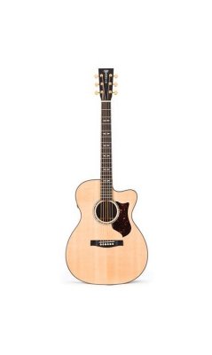   MARTIN OMCPA1PLUS