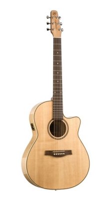   GODIN 32457 +  VBG-SE PERFORMER CUTAWAY