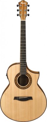   Ibanez AEW23ZW-NT