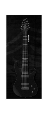 Washburn  PXM18EB