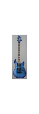  FERNANDES DFD(08)STB