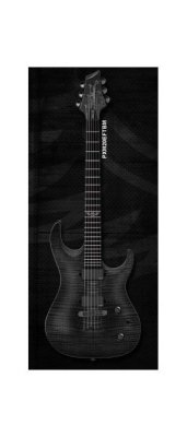 Washburn  PXM20EFTBM