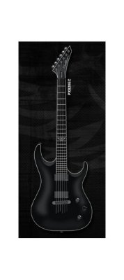 Washburn  PXS20EC