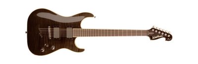 Washburn  X50PROFE