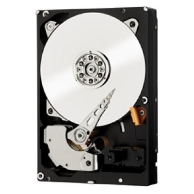  Western Digital WD4000F9YZ