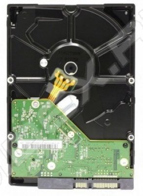  Western Digital WD5000AVCS 500GB