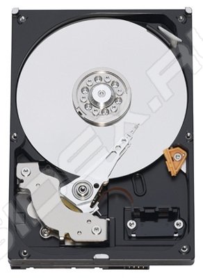  Western Digital WD5000AVDS 500GB