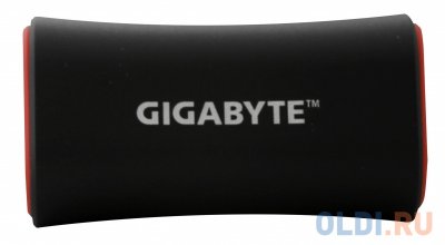   Gigabyte Power Bank RFG30A0 2900mAh Black