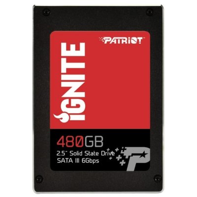  Patriot Memory PI480GS25SSDR