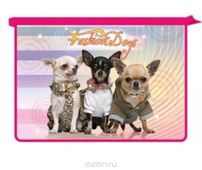    Fashion Dogs 3, 2 .,   , / , , . A4