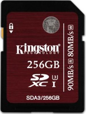   Kingston SDA3/256GB