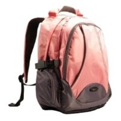    Lenovo Ideapad Backpack B450