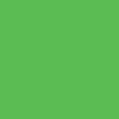 Colorama  1x1.3m Spring Green CO7100