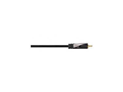   2.0  Hama Avinity RCA (F) - RCA (M)    107510