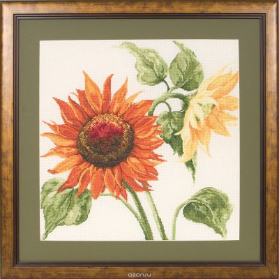    Maia "Sunshine 2 - Sunflowers" /  2. / 35*35  (: