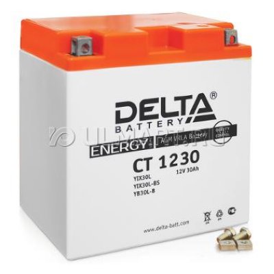  Delta CT 1230 12V 30 / (YIX30L-BS) AGM