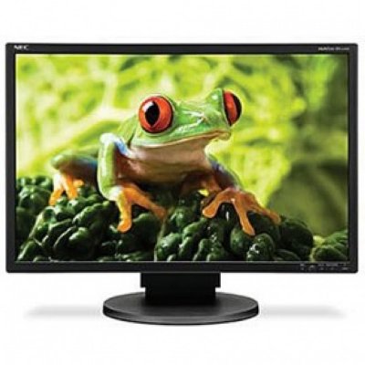  24" Nec EA241WM MultiSync Black