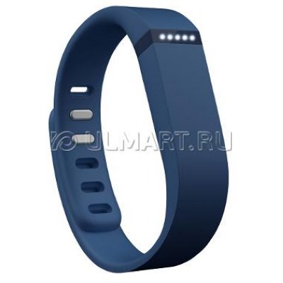 - Fitbit Flex Blue