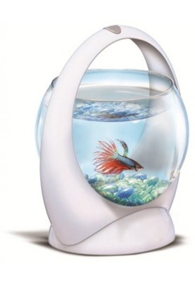  Tetratec Betta Ring 245624 White