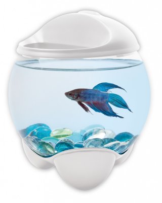  Tetratec Betta Tet-206724 Bubble White 1099104