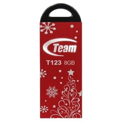   Team Group T123 8GB