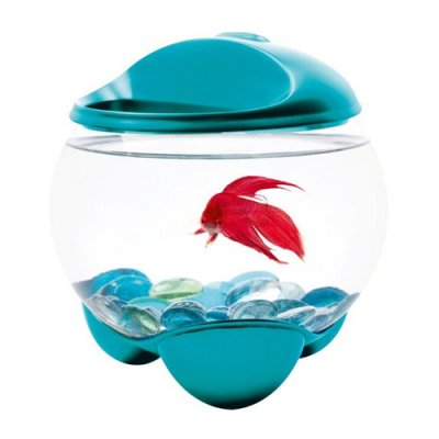  Tetra BETTA BUBBLE -     , 1,8 