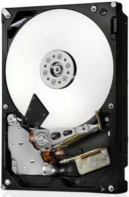   HDD 1000Gb SATA-III HGST (Hitachi) Ultrastar A7K2000 (0F24807, 7200rpm, 32Mb)